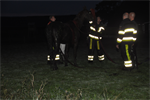Prio 2 Dier te Water Paard Dykhuzen Gerkesklooster